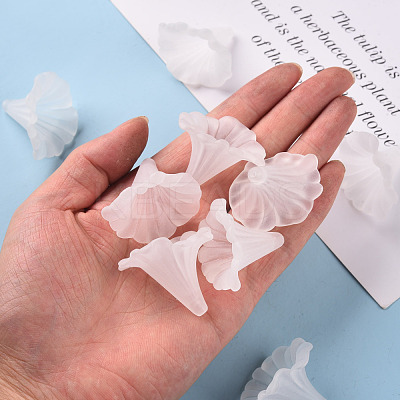 Transparent Acrylic Beads BSF796-1