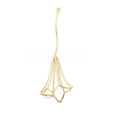 Brass Pendants LS-KK-A238-04G-1