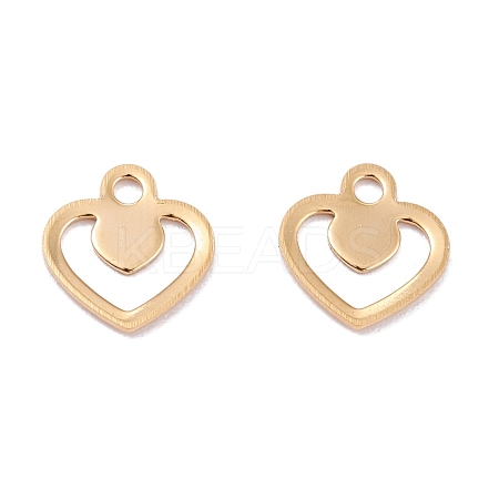 201 Stainless Steel Charms STAS-B001-02G-1