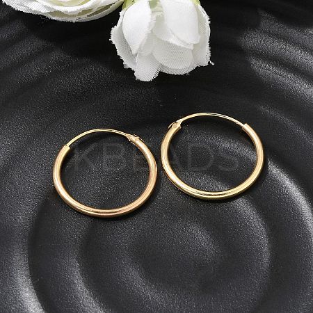Brass Hoop Earrings EJEW-G474-01G-03-1