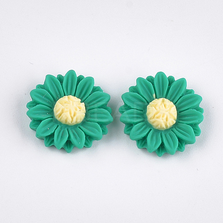 Resin Cabochons CRES-T010-60A-1