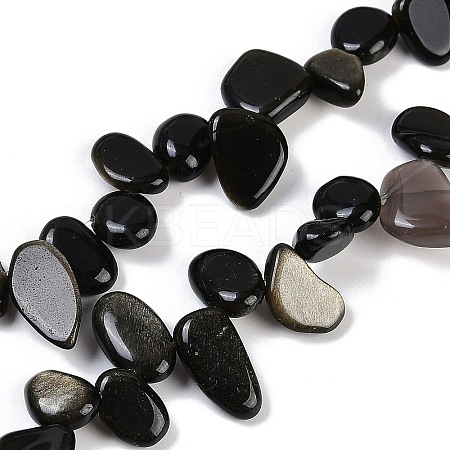 Natural Golden Sheen Obsidian Nuggets Beads Strands G-B125-A01-01-1