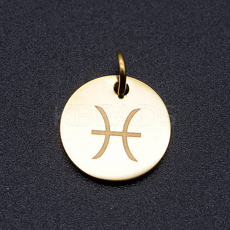 201 Stainless Steel Charms STAS-T049-T644-12G-1
