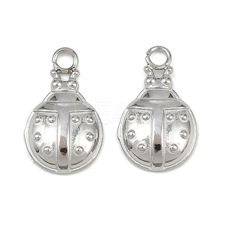 304 Stainless Steel Charms STAS-H242-01P-06-1