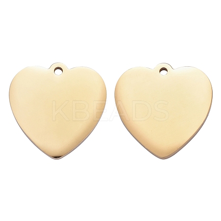 304 Stainless Steel Pendants LS-STAS-I140-10A-G-1