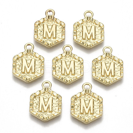 Alloy Pendants PALLOY-N157-003M-NR-1