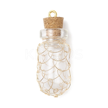 Glass Bottles Pendants PALLOY-JF03918-1