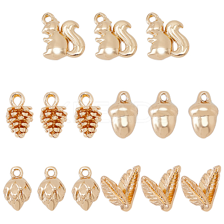 SUPERFINDINGS 15Pcs 5 Style Brass Charms KK-FH0006-46-1