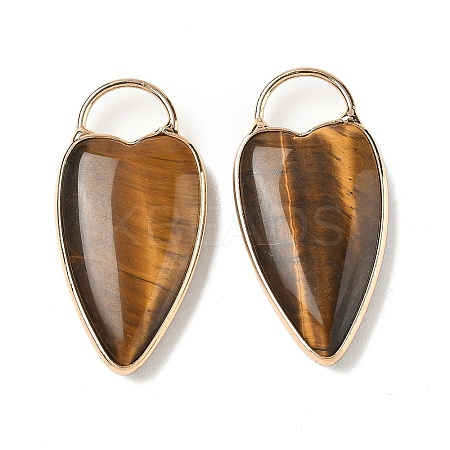 Natural Tiger Eye Pendants G-I393-01G-06-1