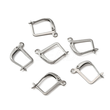 316 Surgical Stainless Steel Hoop Earring Findings STAS-WH0022-74-1