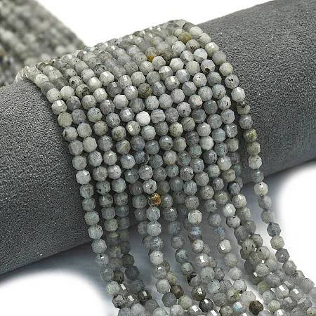 Natural Labradorite Beads Strands G-A260-A44-01B-1