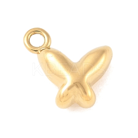 304 Stainless Steel Charms STAS-Q351-04G-1