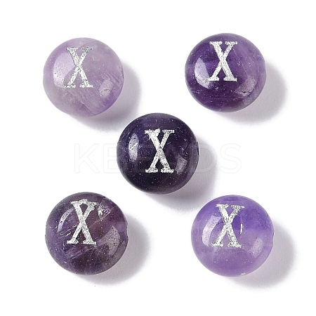 Natural Amethyst Beads G-L524-20X-03-1