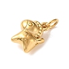 304 Stainless Steel Charms STAS-A152-02G-G-2