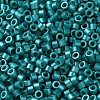 Baking Paint Glass Seed Beads X-SEED-S042-15A-17-3