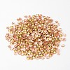 Back Plated Grade A Diamond Glass Pointed Rhinestone LS-RGLA-SS28-023-2