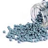 TOHO Round Seed Beads SEED-TR11-1206-1
