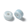 Handmade Porcelain Beads PORC-L080-C19-2