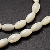 Natural Trochid Shell/Trochus Shell Beads Strands X-SSHEL-K008-06-3