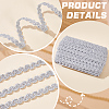 Polyester Braided Lace Trim Ribbon for Curtain Sofa Decoration OCOR-WH0105-013B-02-5