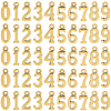 180Pcs 10 Styles Tibetan Style Alloy Pendants FIND-SC0014-90-1