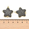 Brass with Druzy Resin Connector Charms KK-C158-05A-G-3