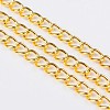 Iron Twisted Chains CH-R001-G-1