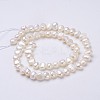 Natural Cultured Freshwater Pearl Beads Strands PEAR-P002-42-2