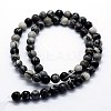 Natural Black Silk Stone/Netstone Beads Strands G-I199-11-10mm-2