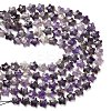 Natural Amethyst Beads Strands G-L657-A08-01-5