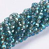 Glass Beads Strands EGLA-F120-M01-4
