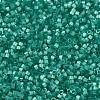 MIYUKI Delica Beads SEED-JP0008-DB1813-3