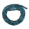 Natural Apatite Beads Strands X-G-E411-36-3mm-02-3