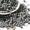 Picasso Baking Paint Glass Seed Beads SEED-A032-02A-16-1