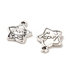 Tibetan Style Alloy Pendants FIND-C043-047AS-2