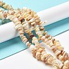 Natural Freshwater Shell Beads Strands X-G-M205-85B-4