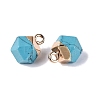 Dyed Synthetic Turquoise Pendants G-N359-18G-21-2
