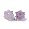 Natural Amethyst Pendants G-C002-02H-4