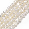 Natural Cultured Freshwater Pearl Beads Strands PEAR-A005-05D-01-1