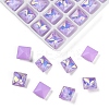 Pointed Back Glass Rhinestone Cabochons GGLA-S003-01D-1