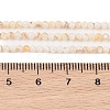 Natural Freshwater Shell Beads Strands SHEL-T011-02-4mm-4