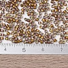MIYUKI Delica Beads SEED-JP0008-DB1691-2