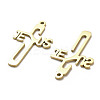 304 Stainless Steel Pendants STAS-B054-03G-2