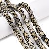 Natural Dalmatian Jasper Beads Strands G-T139-6x6-17A-1