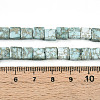 Natural Variscite Beads Strands G-N346-05A-05-5