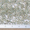 MIYUKI Round Rocailles Beads SEED-G007-RR3193-4