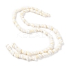 Natural Shell Beads Strands BSHE-D020-01-2