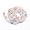 Natural Morganite Beads Strands G-K230-16-2