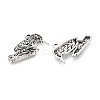 Tibetan Style Alloy Pendants TIBE-N014-20AS-2