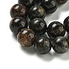 Natural Phlogopite Beads Strands G-P546-A01-03-3